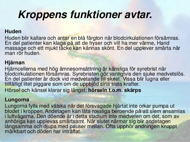 vak vid livets slutskede vak vid livets slutskede
